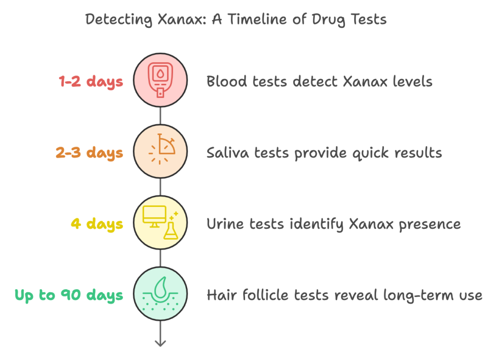 How Long Does Xanax Stay in Your System? Timeline Guide Different Drug Tests for Xanax Detection