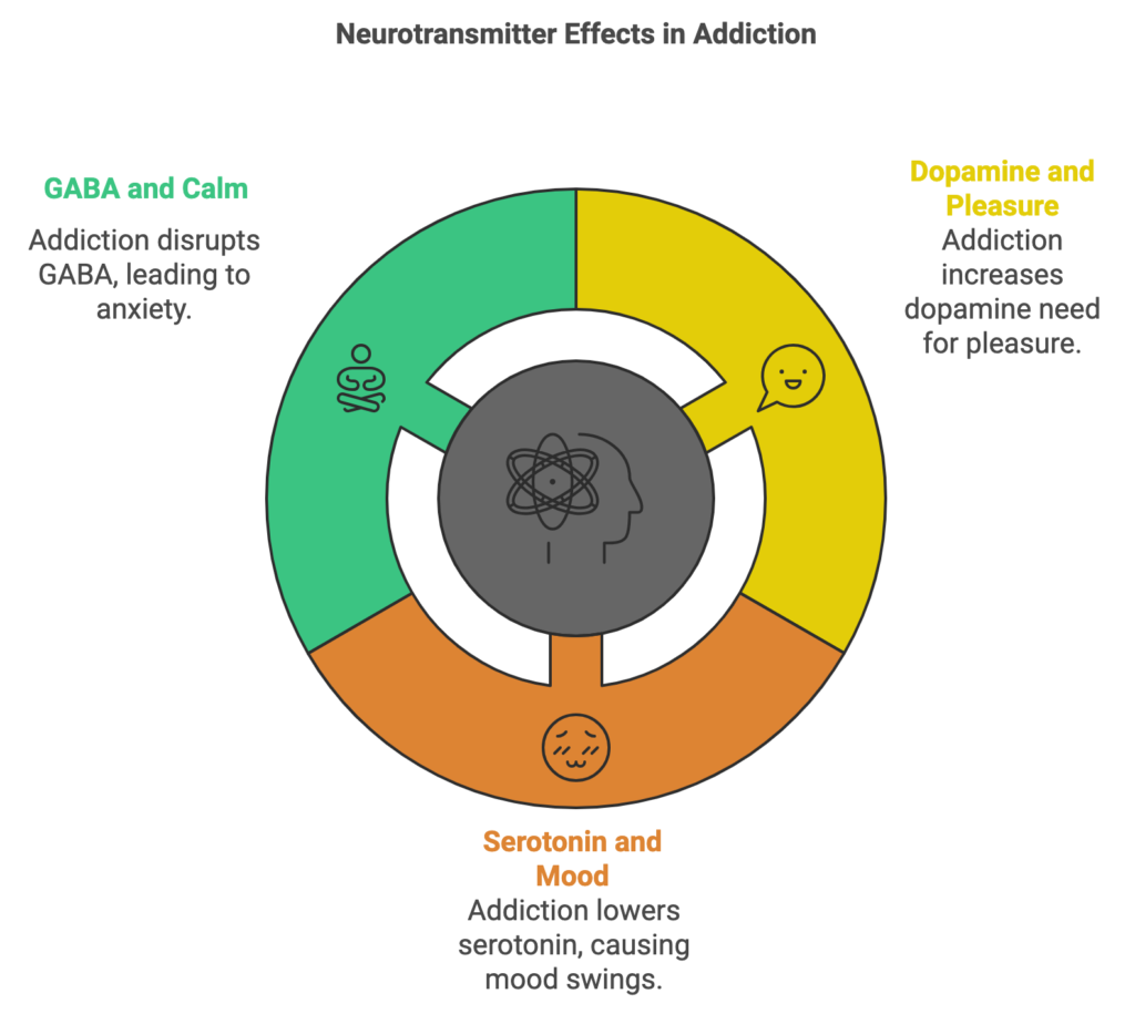 How Long to Rewire Brain from Addiction: Recovery Guide The Role of Neurotransmitters in Addiction