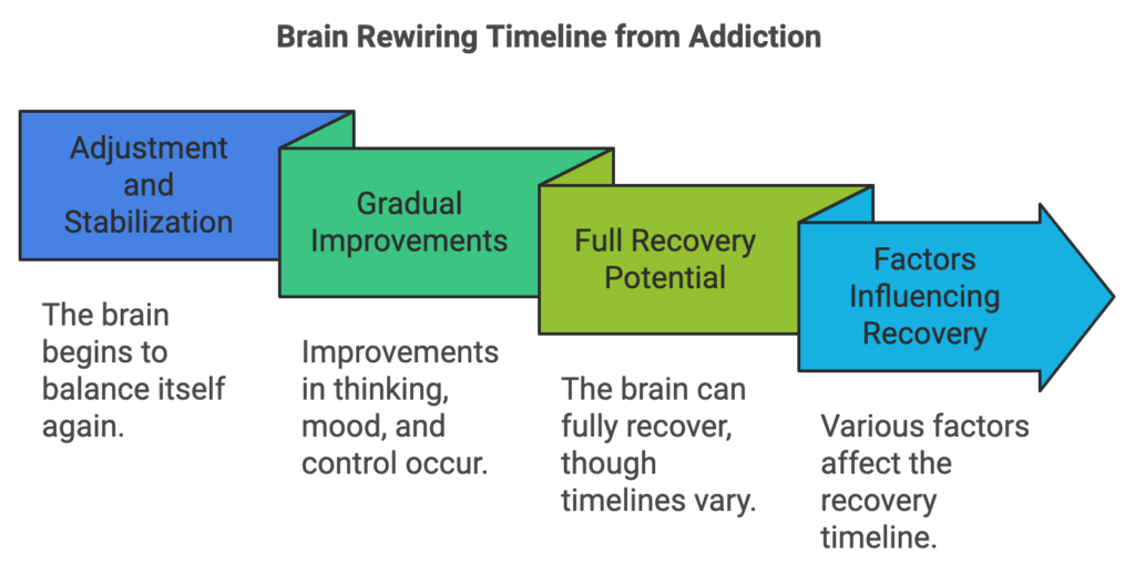 How Long to Rewire Brain from Addiction: Recovery Guide How Long to Rewire Brain from Addiction