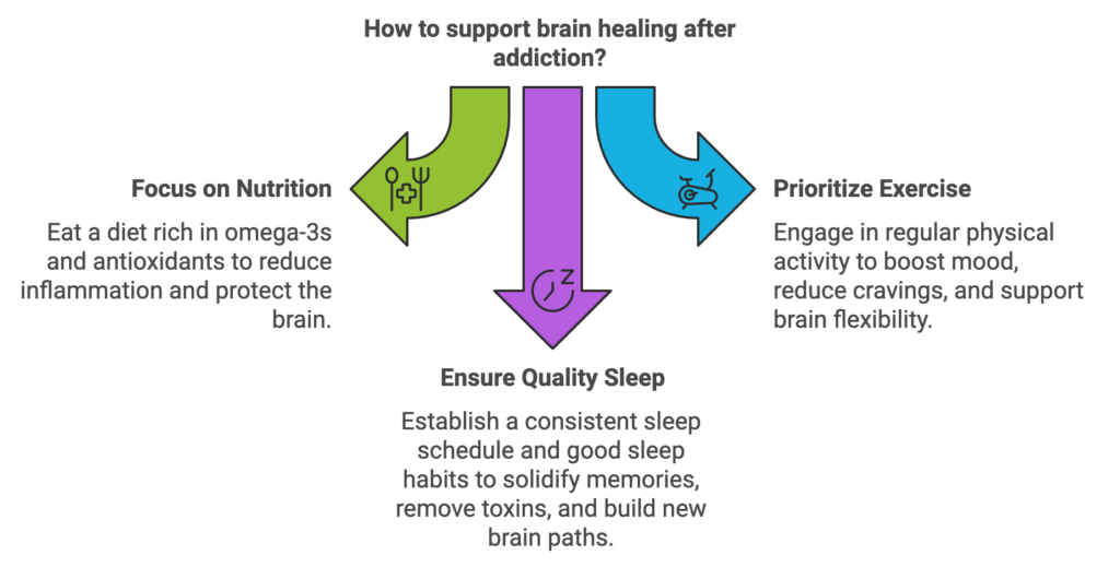 How Long to Rewire Brain from Addiction: Recovery Guide how to support brain healing after addiction