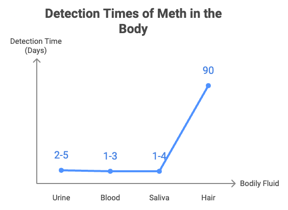 What Does Meth Look Like? Here’s What You Need to Know How Long Does Meth Stay in Your System?