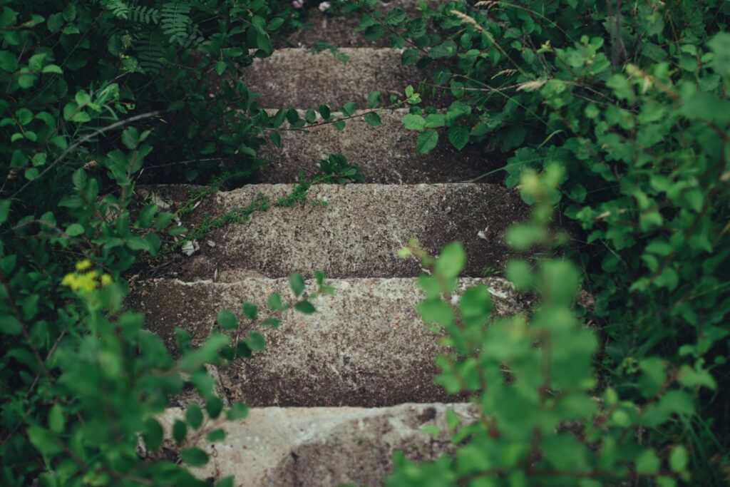 Why Step 1 of Alcoholics Anonymous Is Hard—but the Foundation to Recovery step 1 Aa